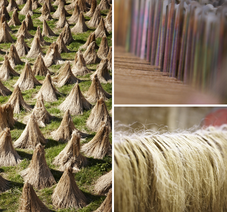 how linen is made from flax